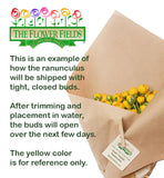 Limited Time Yellow Mother's Day Bouquet